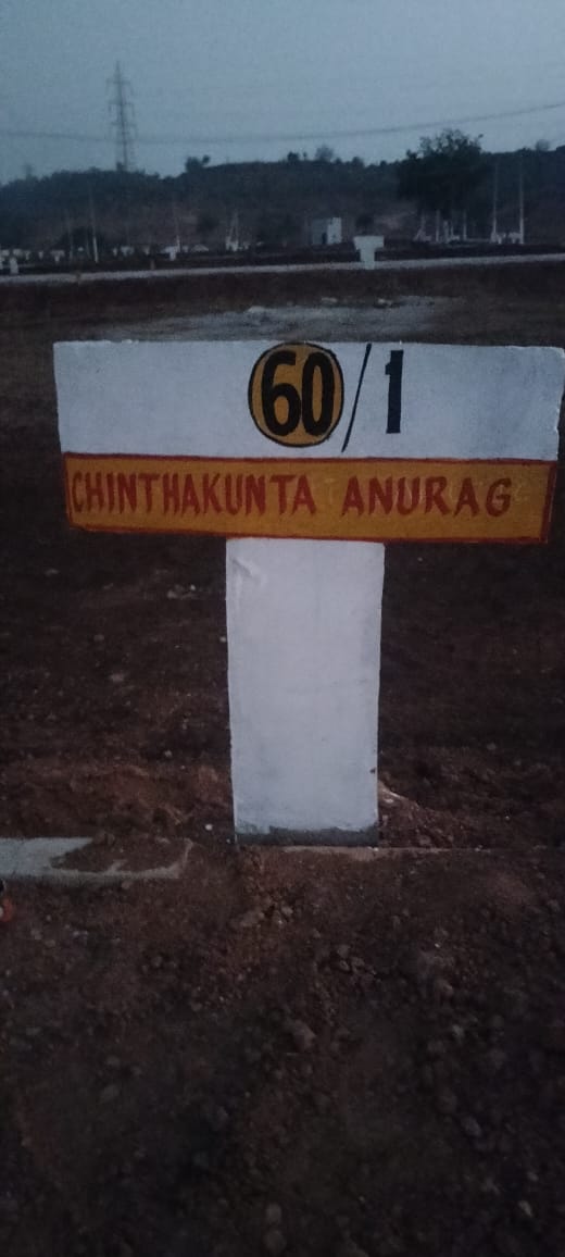 Site