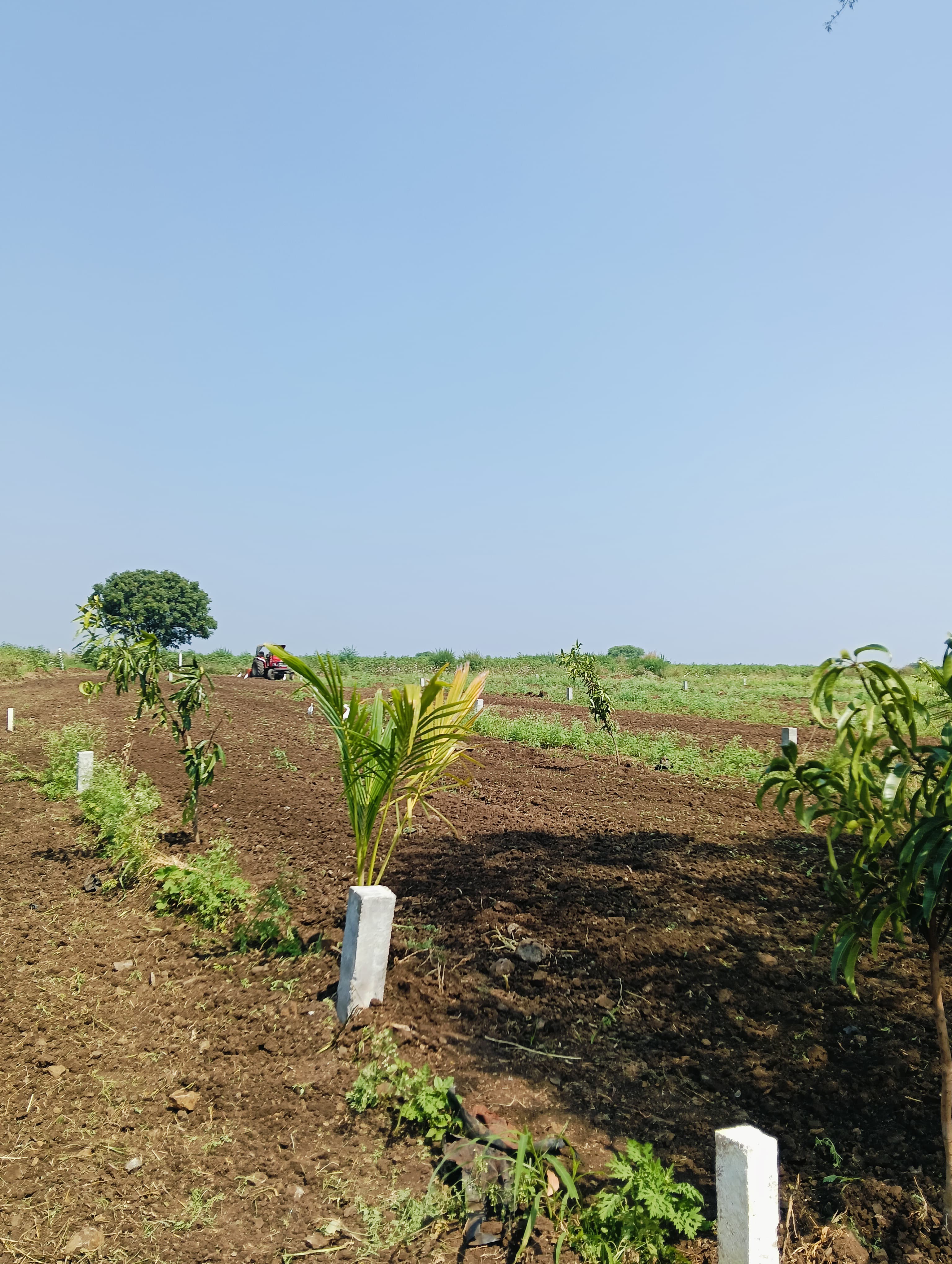 Land vs Gold: Which Investment Wins in Telangana's 2026 Economy?